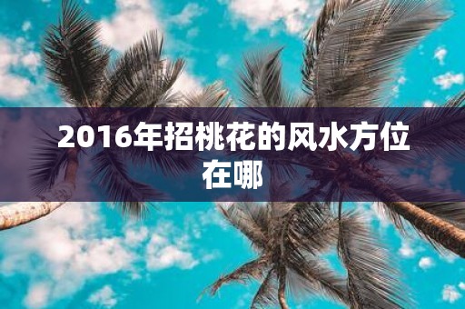 2016年招桃花的风水方位在哪