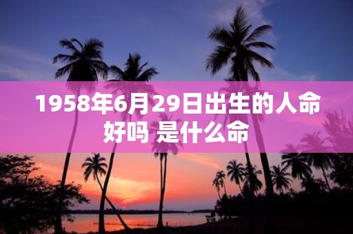 1958年6月29日出生的人命好吗 是什么命
