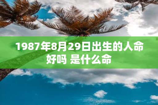 1987年8月29日出生的人命好吗 是什么命