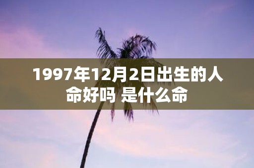 1997年12月2日出生的人命好吗 是什么命