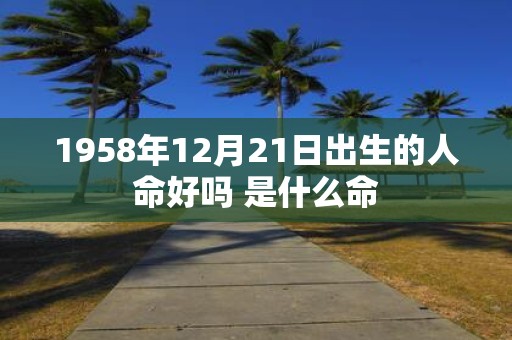 1958年12月21日出生的人命好吗 是什么命