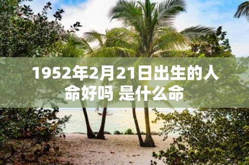 1952年2月21日出生的人命好吗 是什么命