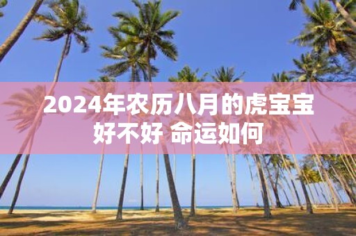 2025年农历八月的虎宝宝好不好 命运如何