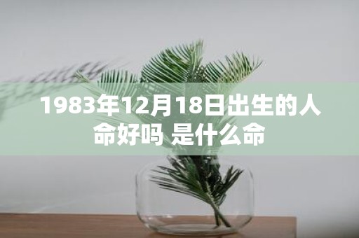 1983年12月18日出生的人命好吗 是什么命