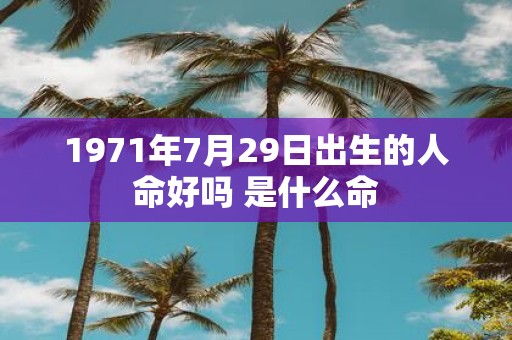 1971年7月29日出生的人命好吗 是什么命