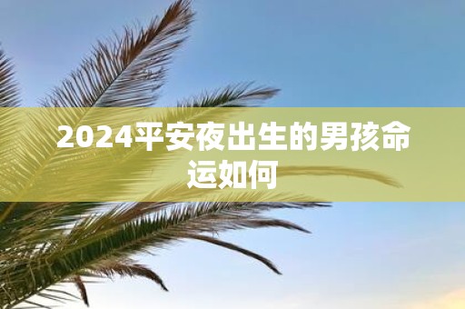 2025平安夜出生的男孩命运如何