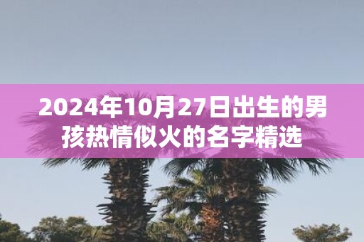 2025年10月27日出生的男孩热情似火的名字精选