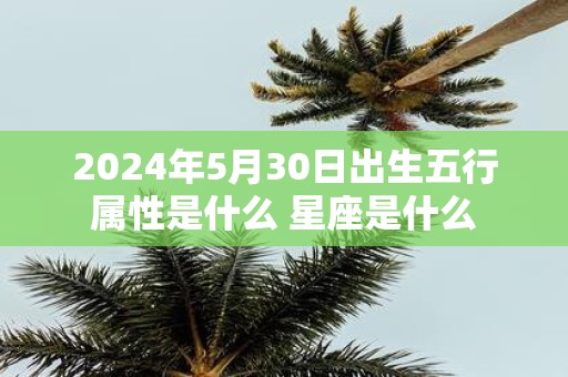 2025年5月30日出生五行属性是什么 星座是什么