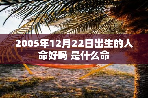 2005年12月22日出生的人命好吗 是什么命