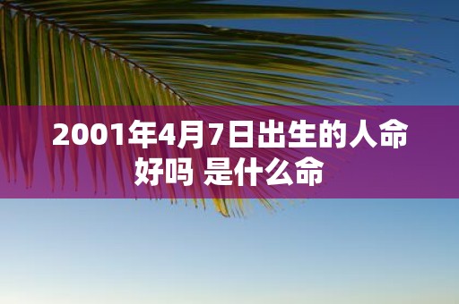 2001年4月7日出生的人命好吗 是什么命