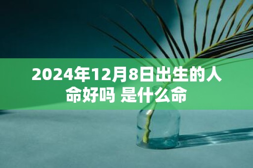2025年12月8日出生的人命好吗 是什么命