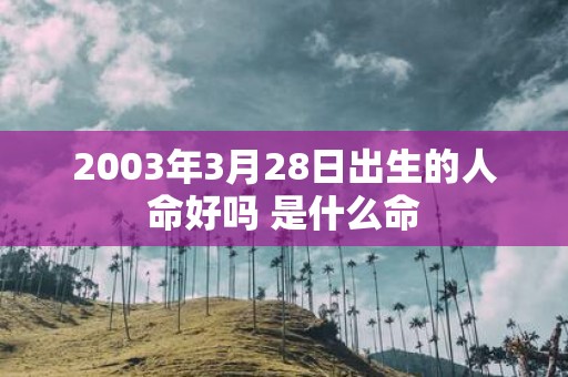 2003年3月28日出生的人命好吗 是什么命