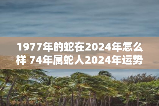 1977年的蛇在2025年怎么样 74年属蛇人2025年运势预测