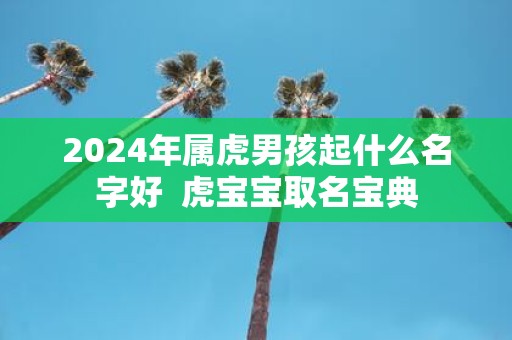 2025年属虎男孩起什么名字好 虎宝宝取名宝典