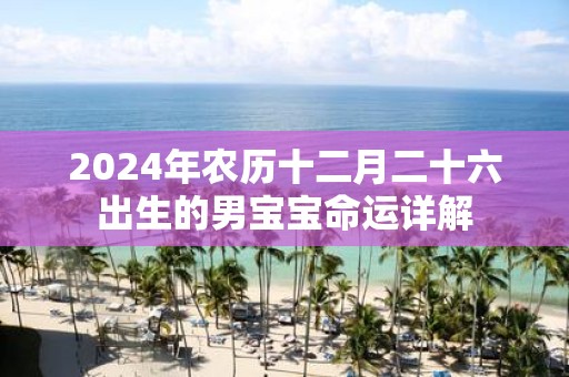 2025年农历十二月二十六出生的男宝宝命运详解