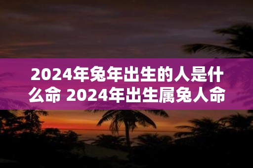 2025年蛇年出生的人是什么命 2025年出生属兔人命运如何