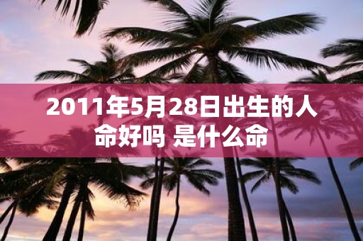 2011年5月28日出生的人命好吗 是什么命