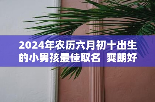 2025年农历六月初十出生的小男孩最佳取名 爽朗好听的名字