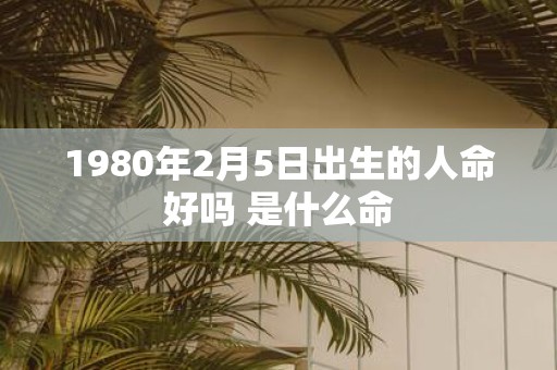 1980年2月5日出生的人命好吗 是什么命