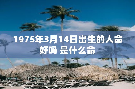1975年3月14日出生的人命好吗 是什么命