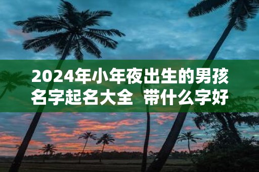 2025年小年夜出生的男孩名字起名大全 带什么字好