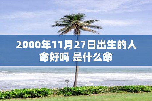 2000年11月27日出生的人命好吗 是什么命