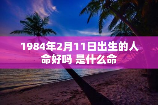 1984年2月11日出生的人命好吗 是什么命