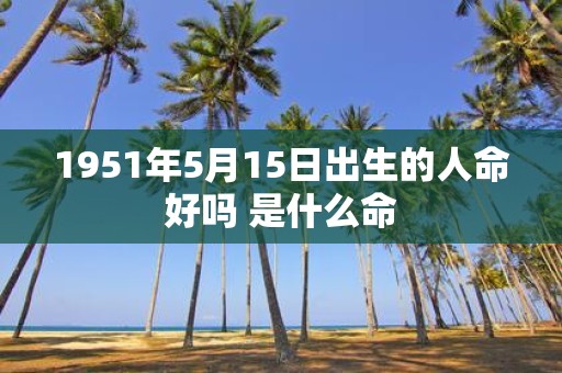 1951年5月15日出生的人命好吗 是什么命