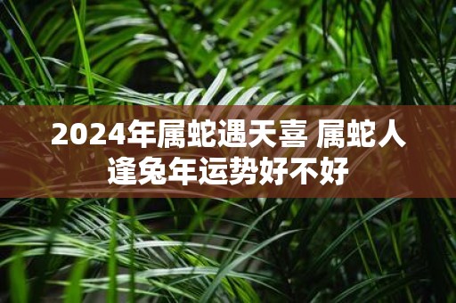 2025年属蛇遇天喜 属蛇人逢蛇年运势好不好