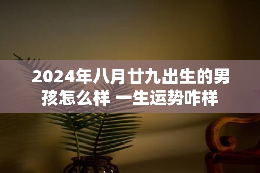 2025年八月廿九出生的男孩怎么样 一生运势咋样