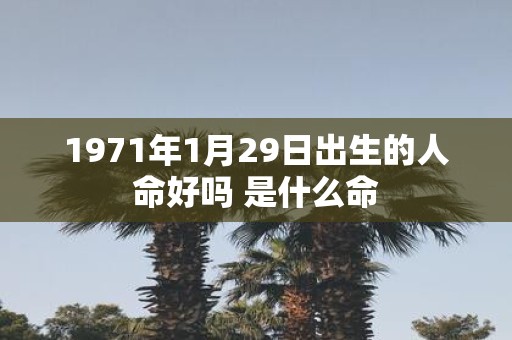 1971年1月29日出生的人命好吗 是什么命