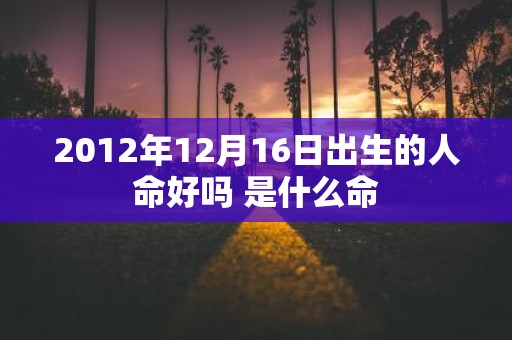 2012年12月16日出生的人命好吗 是什么命