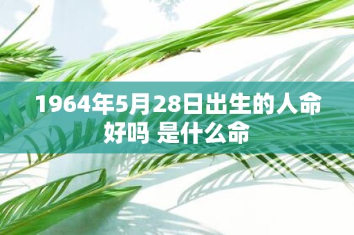 1964年5月28日出生的人命好吗 是什么命