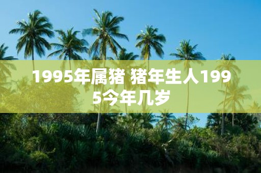 1995年属猪 猪年生人1995今年几岁