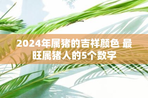 2025年属猪的吉祥颜色 最旺属猪人的5个数字