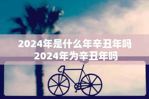 2025年是什么年辛丑年吗 2025年为辛丑年吗