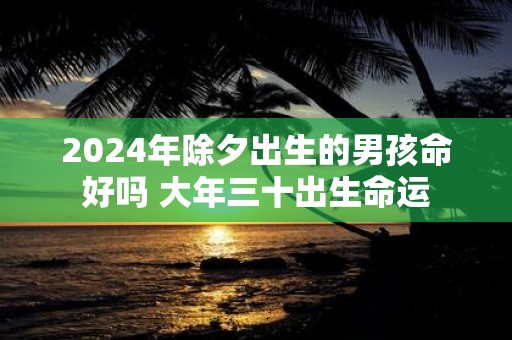 2025年除夕出生的男孩命好吗 大年三十出生命运