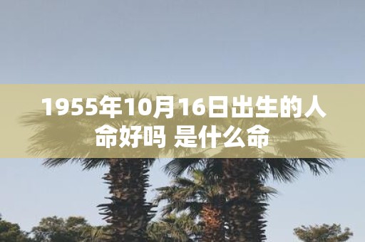 1955年10月16日出生的人命好吗 是什么命