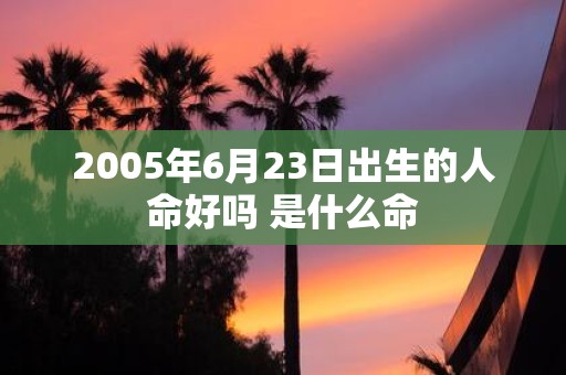 2005年6月23日出生的人命好吗 是什么命
