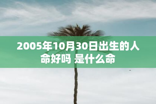 2005年10月30日出生的人命好吗 是什么命