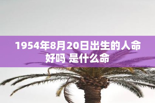 1954年8月20日出生的人命好吗 是什么命