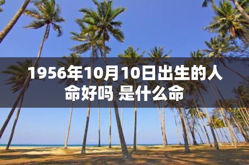 1956年10月10日出生的人命好吗 是什么命