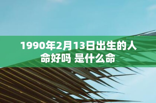 1990年2月13日出生的人命好吗 是什么命