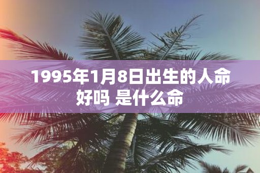 1995年1月8日出生的人命好吗 是什么命