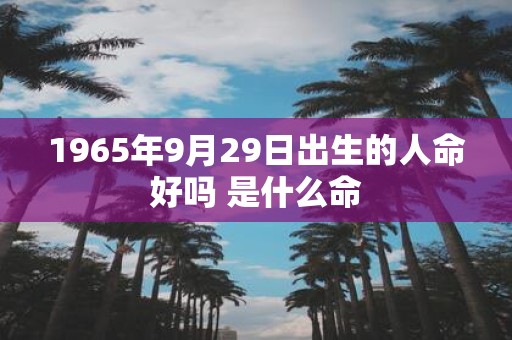 1965年9月29日出生的人命好吗 是什么命