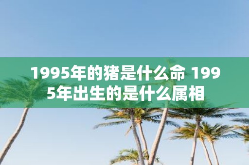 1995年的猪是什么命 1995年出生的是什么属相