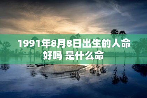 1991年8月8日出生的人命好吗 是什么命