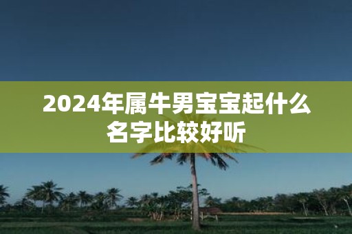 2025年属牛男宝宝起什么名字比较好听