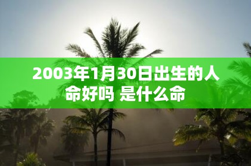 2003年1月30日出生的人命好吗 是什么命