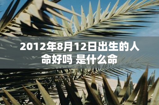 2012年8月12日出生的人命好吗 是什么命